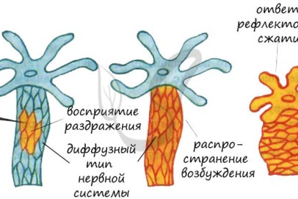 Блэк спрут магазин