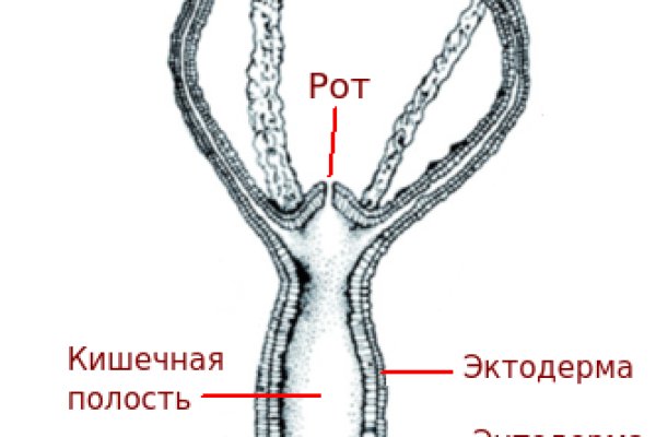 Блекспрут рабочее зеркало 1blacksprut me